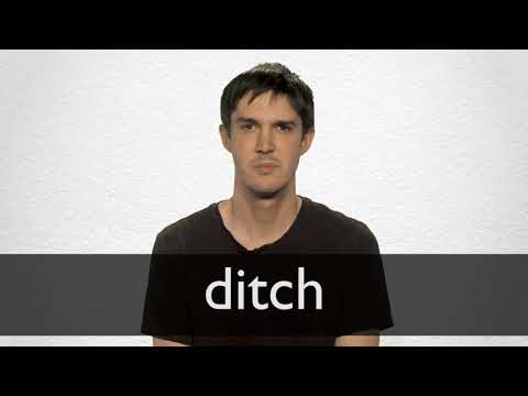 Ditch Definition And Meaning Collins English Dictionary