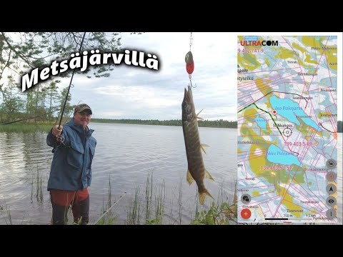 Iin Palojärvet kalapaikkana?