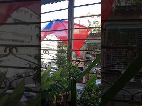 happy National Day還是紅白藍國旗最美