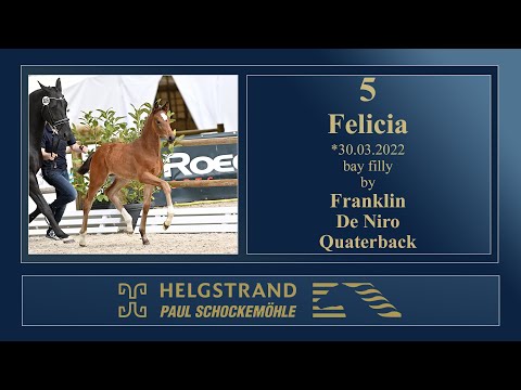 5 - Felicia by Franklin/De Niro - Helgstrand-Schockemöhle Auction on June 4th 2022