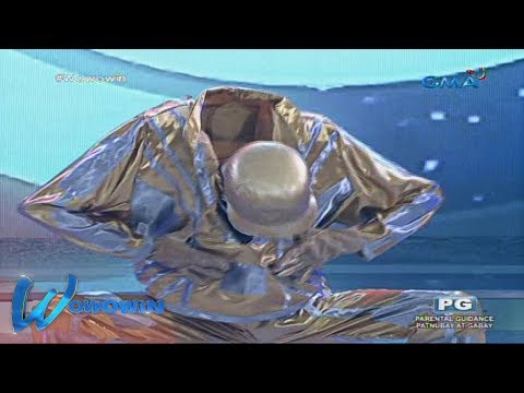 Wowowin: Whamos Robot shows his amazing moves