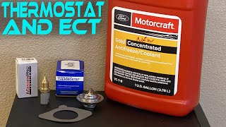 Ford Mustang 3.8 V6 Thermostat and ECT change