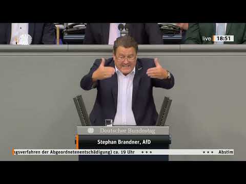 TOTALE ESKALATION! Brandner redet Klartext & dem ganzen Bundestag platzt der Kragen!