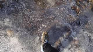 3 Minutes of Thin Ice Cracking in the Forest Relaxing Sounds