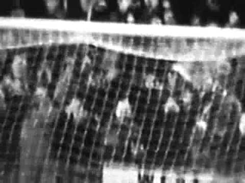 Rabbit Heart 4TH BATTALION