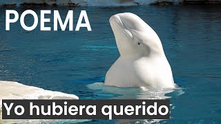Poema:Yo hubiera querido