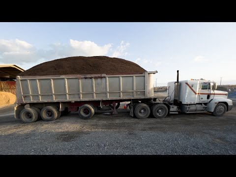 JA AGGREGATES | BARGE LOADING  9000 TONS OF GRAVEL HEADING TO  Bahamas 🇧🇸 ￼| S3•E3