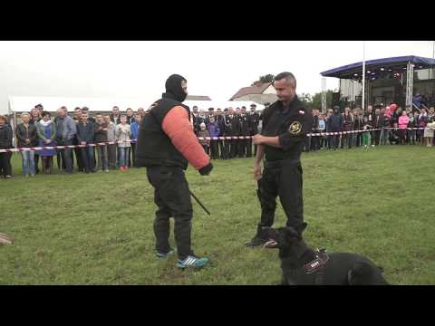 Szkolenie Psów Spartakus K-9 pokaz szkolenia OSP Barczew 17.09.2017r