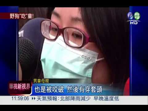 野狗群發狂圍攻 撕咬男童縫百針