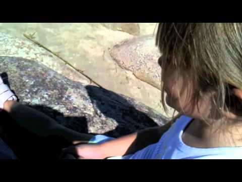 FLORIPA, LINDA POR NATUREZA