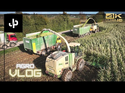 Extreme corn harvest! 2x Krone Big X1100 with 14 rows and 8x8 trucks! LU Sönke Berndsen || JP Agrar