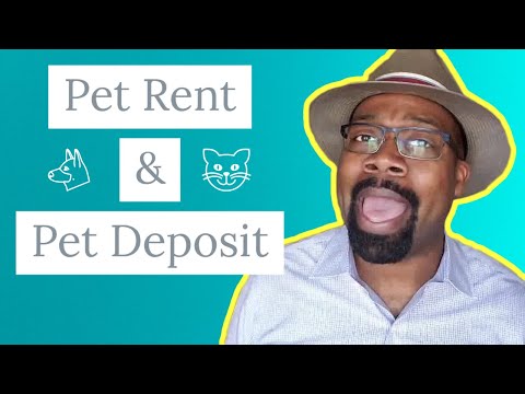 DIY Landlord: What's the Difference between Pet Deposit and Pet Rent? Why you should charge both?