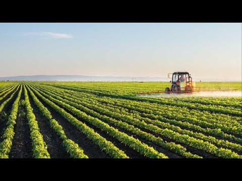O que é agricultura sustentável?