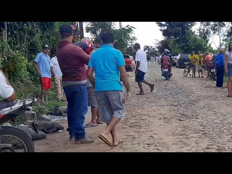 FEIRA DOS PORCOS NA IBIAPINA CEARÁ DIA 28/04/2024