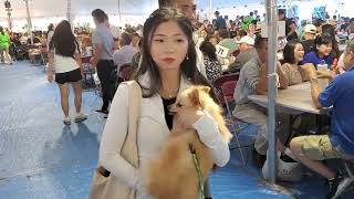 Ăn trưa náo nhiệt của đại hội thánh mẫu năm 2025