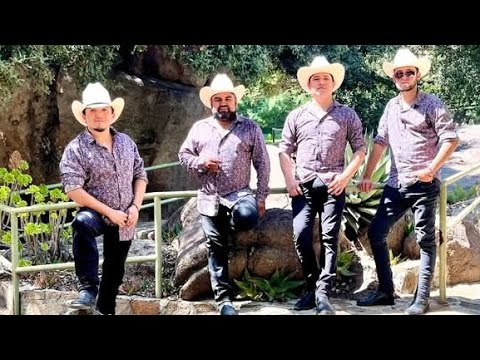 Águila blanca y el pescado imperio del norte en vivo