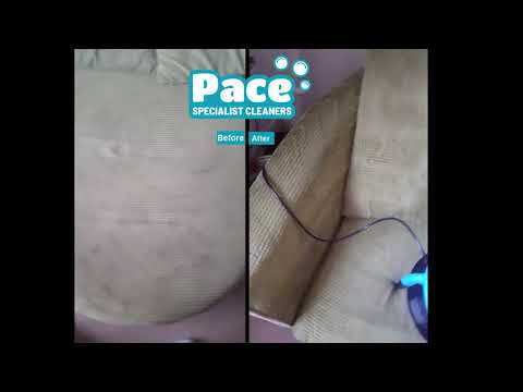 Pace Specialist Cleaners - Carpet Cleaning video.