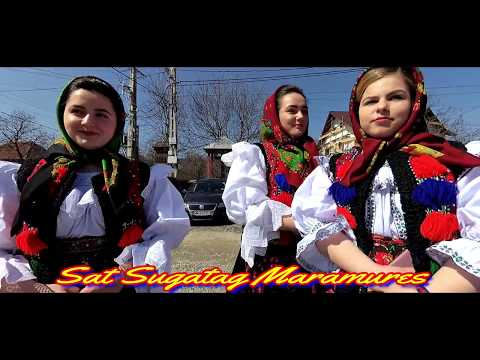 Pensiunea Casa Moroseneasca