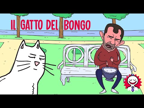 , title : 'IL GATTO DEL BONGO'