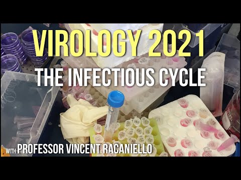 Virology Lectures 2021 #2 - The Infectious Cycle