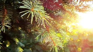 Teebs - While You Doooo