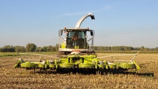 preview picture of video 'Loonbedrijf Neyt - Claas Jaguar 970 - mais hakselen'