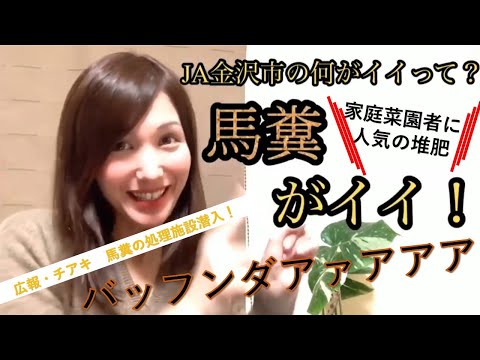 堆肥化した馬糞の使い方は？肥沃な作物を育てるための利点とヒント  庭園