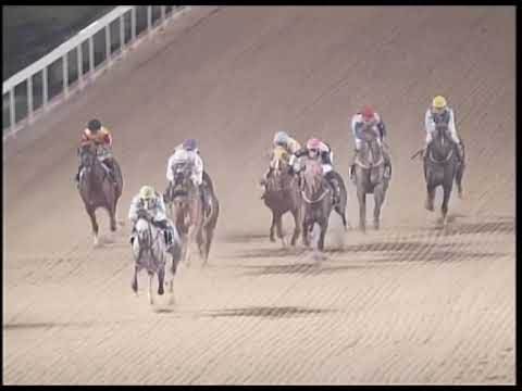 2018-12-14 Macau Meeting Race 2(0092) - THE CURRAGH