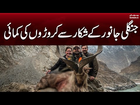 Animal become major source of income in people of Gilgit Baltistan | Samaa News