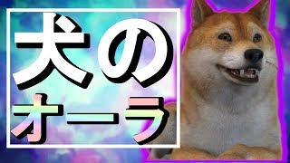 【単発実況】犬のオーラは何系？【facerig】by したら