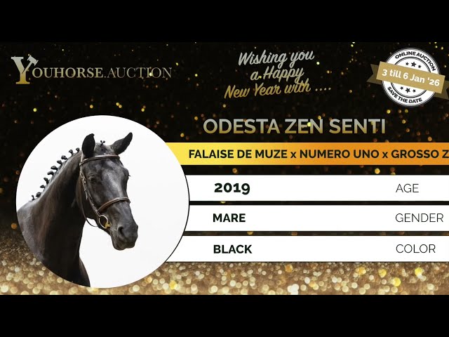 Odesta Zen Senti impressionvideo