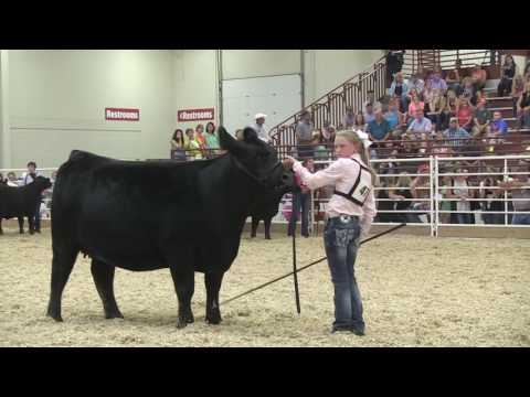 , title : 'NJAS 2016: Bred-and-Owned Angus Heifer Show'