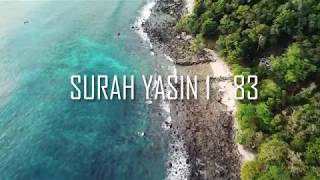 Download lagu Bacaan Quran Merdu dan Indah Surah Yasin - Puja Syarma mp3 Download lagu Bacaan Quran Merdu dan Indah Surah Yasin - Puja Syarma mp3