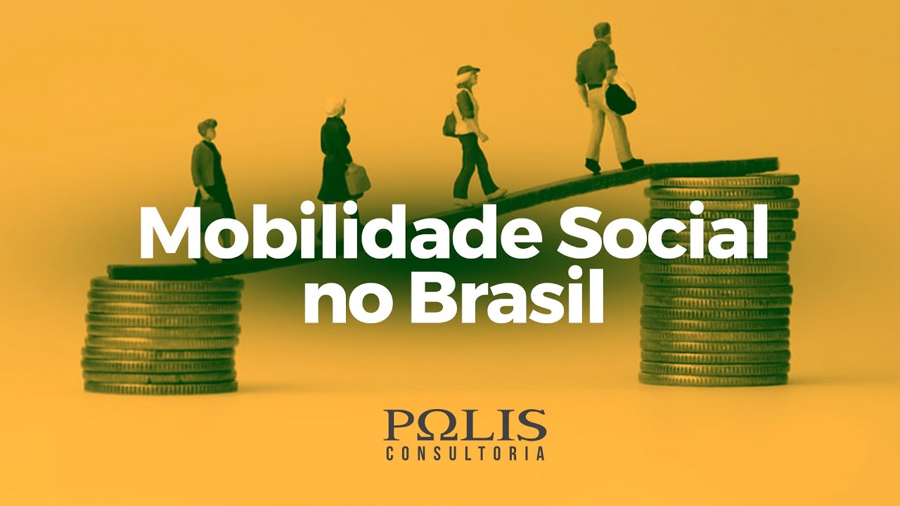 MOBILIDADE SOCIAL NO BRASIL Resumo de Sociologia - Polis Consultoria