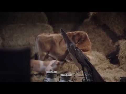 Irmas økologiske reklamefilm: Nos bastidores