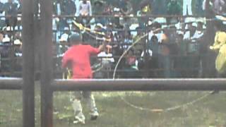 preview picture of video 'TIRINDARO MICHOACAN MAYO 2012 JARIPEO 1'