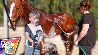 First Horse Bath!