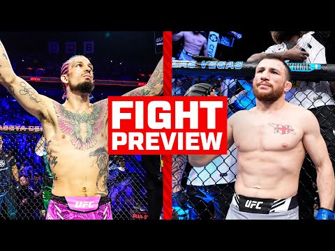 Merab Dvalishvili Faces a Tough Test Against Sean O’Malley at UFC 306