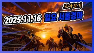 2025년 11월 16일 일요 서울경마 전체경주 모아보기
