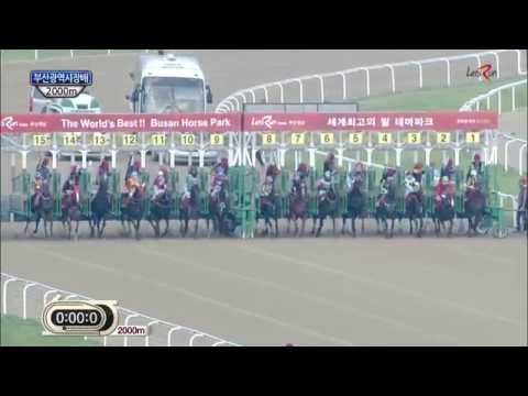 Busan Metropolitan City Mayor's Cup - 20th July 2014