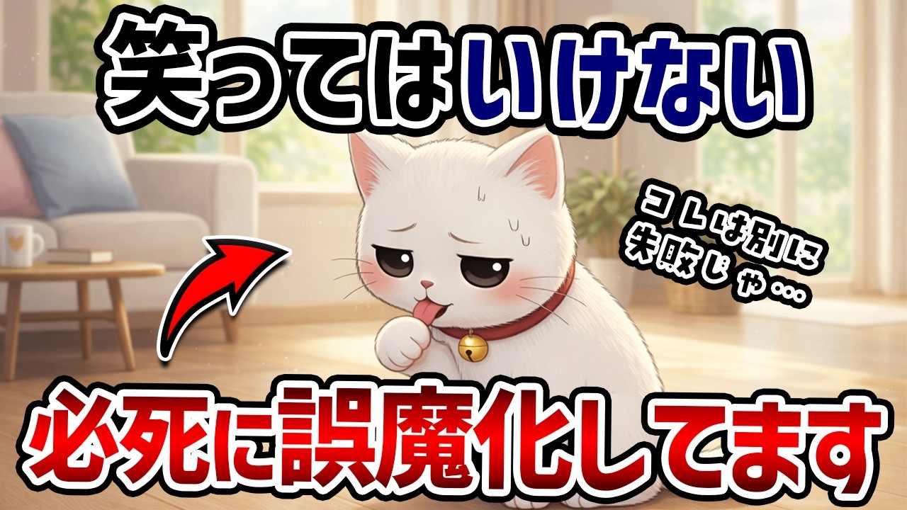 【知らないと損！】ちょっと残念で可愛すぎる猫の習性７選【猫雑学】