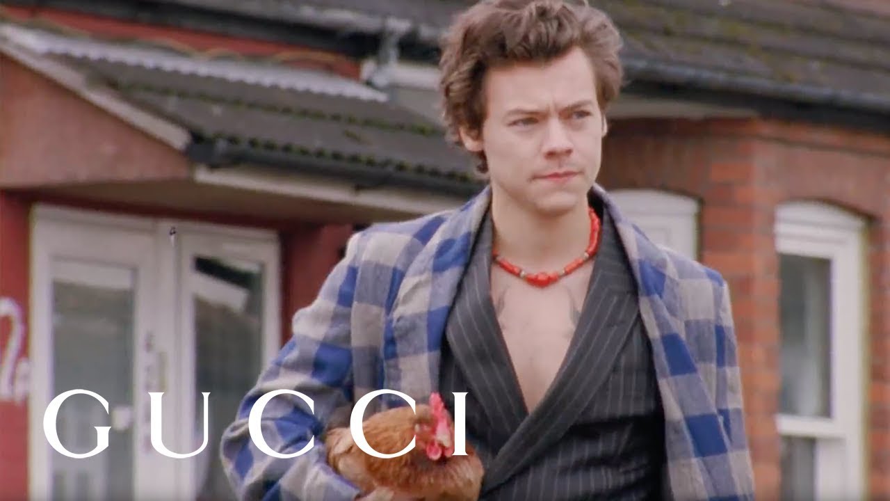 Gucci кампания с Хари Стайлс