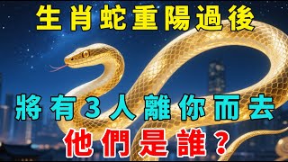 生肖蛇，重陽過後將有3人離你而去，他們是誰？真的出乎意料！不看後悔！【梵心若素】#生肖 #運勢 #風水 #財運 #命理