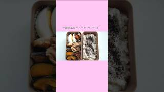 前日作り置き過去弁当です#お弁当 #お弁当記録 #作り置き #作り置き弁当 #日常