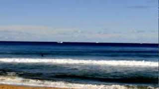 preview picture of video 'Whale  at Whale Beach, NSW, Australia'