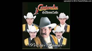 Cardenales de Nuevo Leon- Ella es