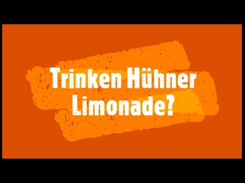 Trinken Hühner Limonade?