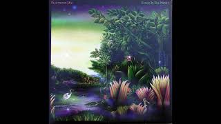 Fleetwood Mac - Welcome to the Room... Sara