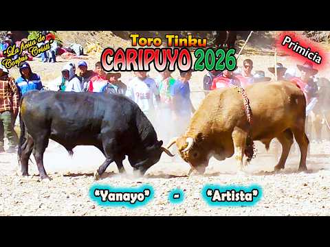 Toro Tinku de CARIPUYO 2026, 2Dia T4 "Artista-Yanayo". (Video Oficial de ALPRO) BO.