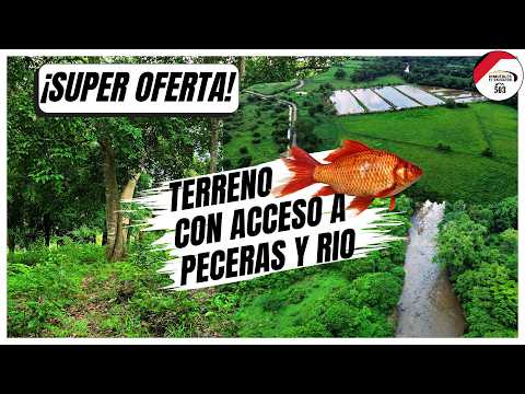 VENDIDO🚫📵📵 2¼ Manzanas de terreno con RIO DE INVIERNO Y VERANO EN SAN PABLO TACACHICO.